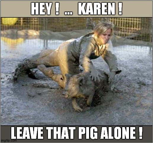 She 'Do Need' Some Education ! | HEY !  ...  KAREN ! LEAVE THAT PIG ALONE ! | image tagged in karen,pig,song lyrics | made w/ Imgflip meme maker