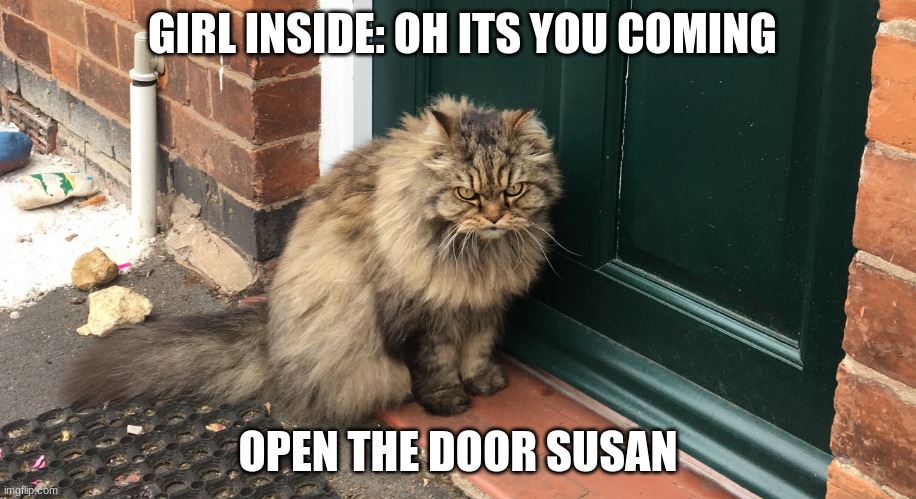 Cat coming from work but dosent have keys | GIRL INSIDE: OH ITS YOU COMING; OPEN THE DOOR SUSAN | image tagged in cat coming from work but dosent have keys | made w/ Imgflip meme maker