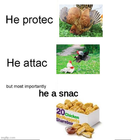 hehe | he a snac | image tagged in he protecc,chicken,memes,dark humor | made w/ Imgflip meme maker