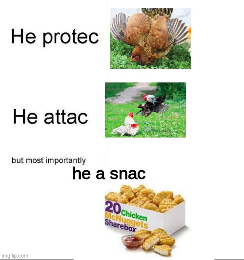 hehe | he a snac | image tagged in he protecc,chicken,memes | made w/ Imgflip meme maker