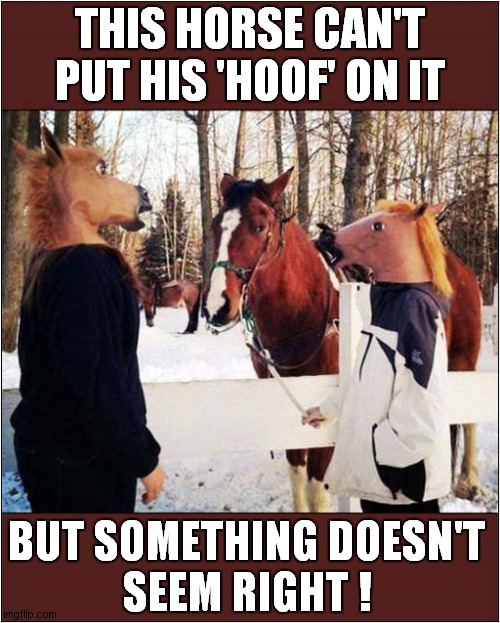 A Suspicious Horse ! | THIS HORSE CAN'T PUT HIS 'HOOF' ON IT; BUT SOMETHING DOESN'T
SEEM RIGHT ! | image tagged in fun,horse,masks,suspicion | made w/ Imgflip meme maker