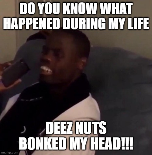 Deez Nutz | DO YOU KNOW WHAT HAPPENED DURING MY LIFE; DEEZ NUTS BONKED MY HEAD!!! | image tagged in deez nutz | made w/ Imgflip meme maker