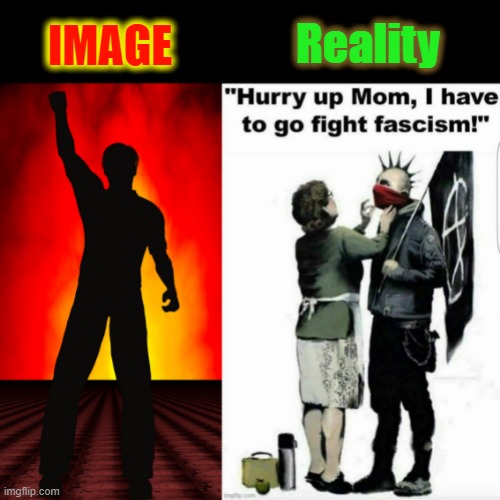 Protesters | Reality; IMAGE | image tagged in expectation vs reality | made w/ Imgflip meme maker