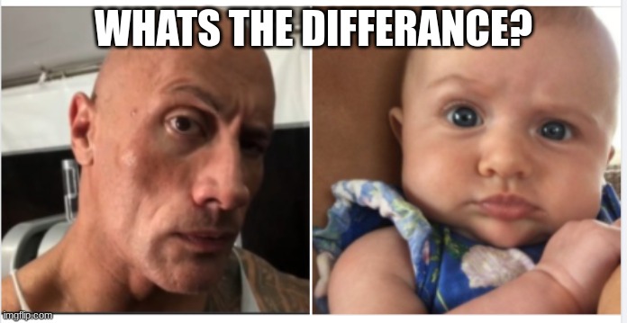 The Rock | WHATS THE DIFFERANCE? | image tagged in the rock,eyebrow raise | made w/ Imgflip meme maker