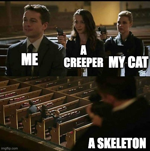 minecraft be like | A CREEPER; ME; MY CAT; A SKELETON | image tagged in church gun | made w/ Imgflip meme maker