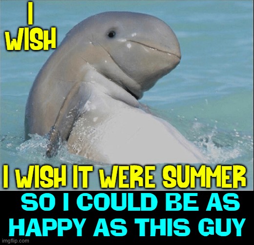 Winter is for the Birds and the Rich: They Both Fly South | I
WISH; I WISH IT WERE SUMMER; SO I COULD BE AS
HAPPY AS THIS GUY | image tagged in vince vance,dolphins,memes,summer,winter,i'm cold | made w/ Imgflip meme maker