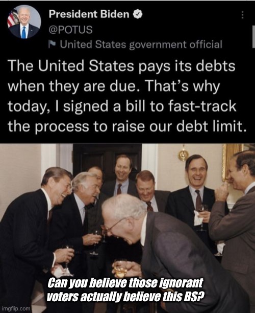 Derp | Can you believe those ignorant voters actually believe this BS? | image tagged in memes,laughing men in suits,politics lol,stupid people | made w/ Imgflip meme maker