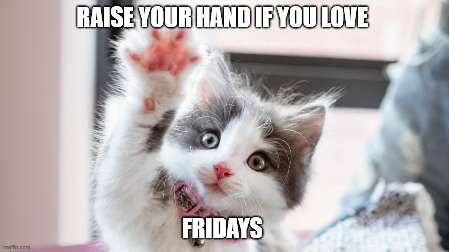 #Cute cat | RAISE YOUR HAND IF YOU LOVE; FRIDAYS | image tagged in i love fridays | made w/ Imgflip meme maker