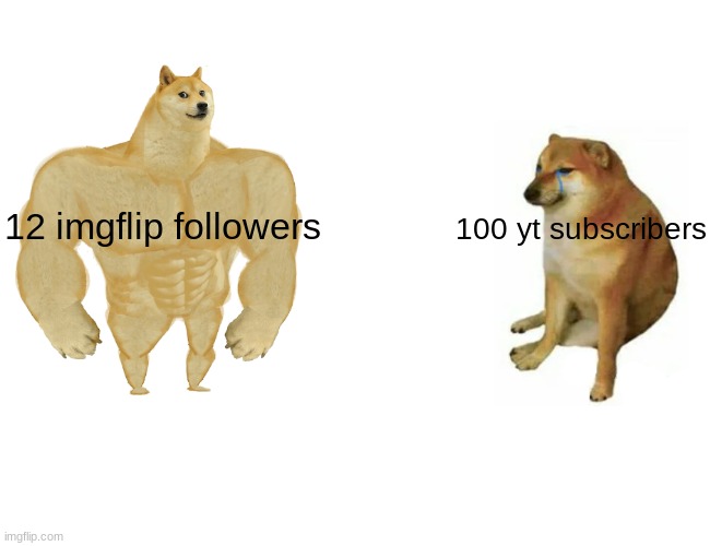 hehe | 12 imgflip followers; 100 yt subscribers | image tagged in memes,buff doge vs cheems | made w/ Imgflip meme maker