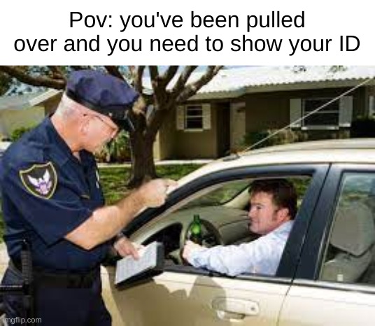 Show your FAKE ID for the police in comments | Pov: you've been pulled over and you need to show your ID | image tagged in police | made w/ Imgflip meme maker