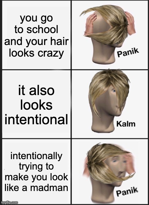 Every frikn day | you go to school and your hair looks crazy; it also looks intentional; intentionally trying to make you look like a madman | image tagged in memes,panik kalm panik,bad hair day,back to school,teacher what are you laughing at,mr incredible mad | made w/ Imgflip meme maker