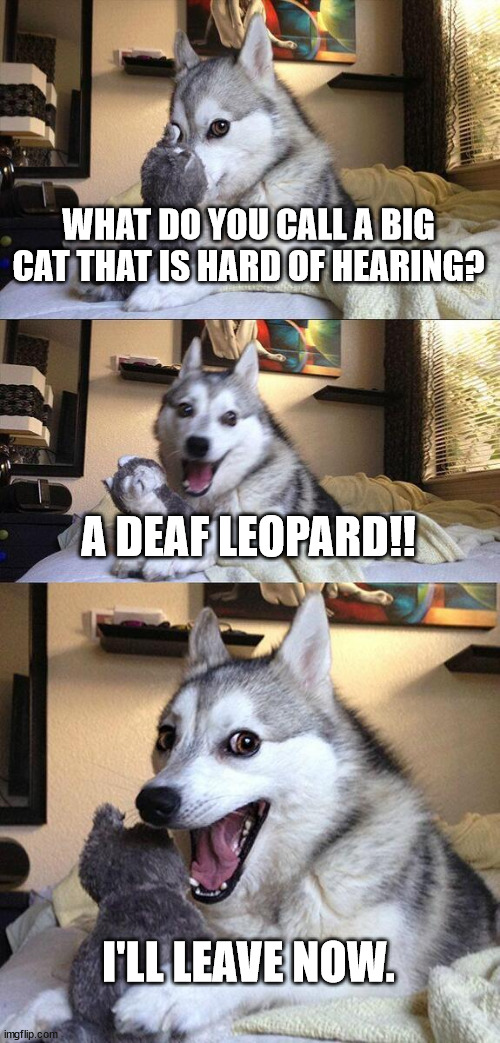 Bad pun, good fun | WHAT DO YOU CALL A BIG CAT THAT IS HARD OF HEARING? A DEAF LEOPARD!! I'LL LEAVE NOW. | image tagged in memes,bad pun dog | made w/ Imgflip meme maker
