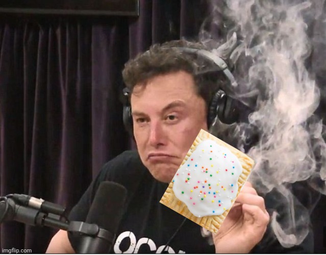 Elon Musk smoking a joint | image tagged in elon musk smoking a joint | made w/ Imgflip meme maker