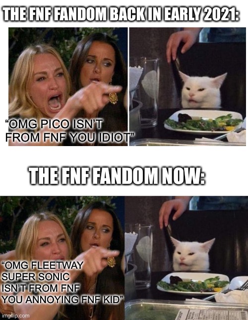 Some things never change | THE FNF FANDOM BACK IN EARLY 2021:; “OMG PICO ISN’T FROM FNF YOU IDIOT”; THE FNF FANDOM NOW:; “OMG FLEETWAY SUPER SONIC ISN’T FROM FNF YOU ANNOYING FNF KID” | image tagged in memes,woman yelling at cat | made w/ Imgflip meme maker