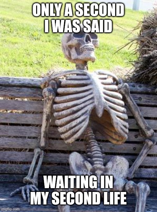 Waiting Skeleton Meme | ONLY A SECOND I WAS SAID; WAITING IN MY SECOND LIFE | image tagged in memes,waiting skeleton | made w/ Imgflip meme maker