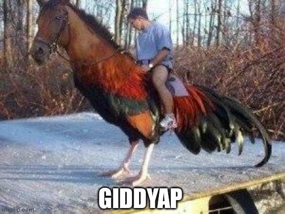 Horsecock | GIDDYAP | image tagged in horsecock | made w/ Imgflip meme maker