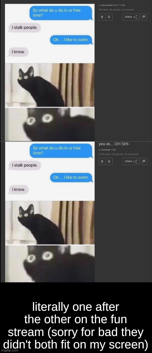 which one's the repost | literally one after the other on the fun stream (sorry for bad they didn't both fit on my screen) | image tagged in hmmm | made w/ Imgflip meme maker