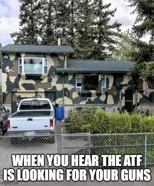 Camo house Blank Meme Template