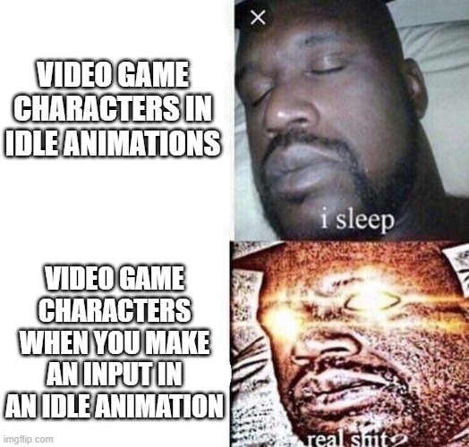 idle animations | VIDEO GAME CHARACTERS IN IDLE ANIMATIONS; VIDEO GAME CHARACTERS WHEN YOU MAKE AN INPUT IN AN IDLE ANIMATION | image tagged in i sleep real shit,gaming | made w/ Imgflip meme maker