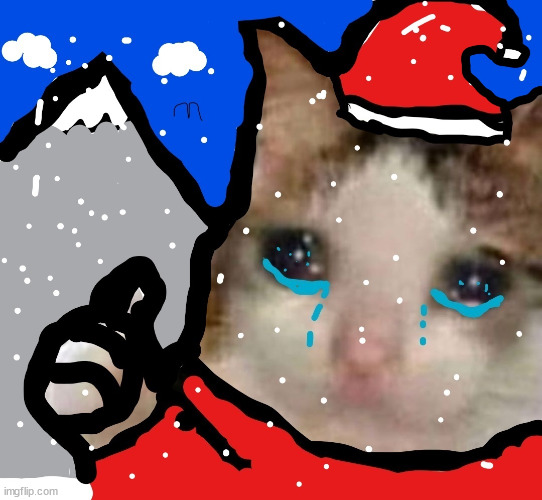 chrismas cat | image tagged in chrismas cat | made w/ Imgflip meme maker