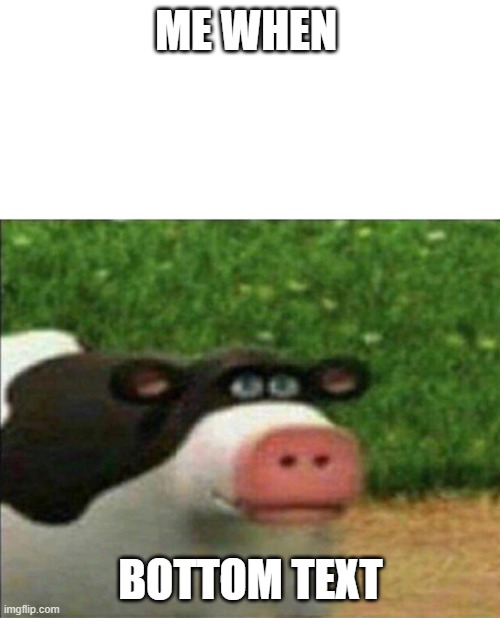 Perhaps cow | ME WHEN; BOTTOM TEXT | image tagged in perhaps cow | made w/ Imgflip meme maker