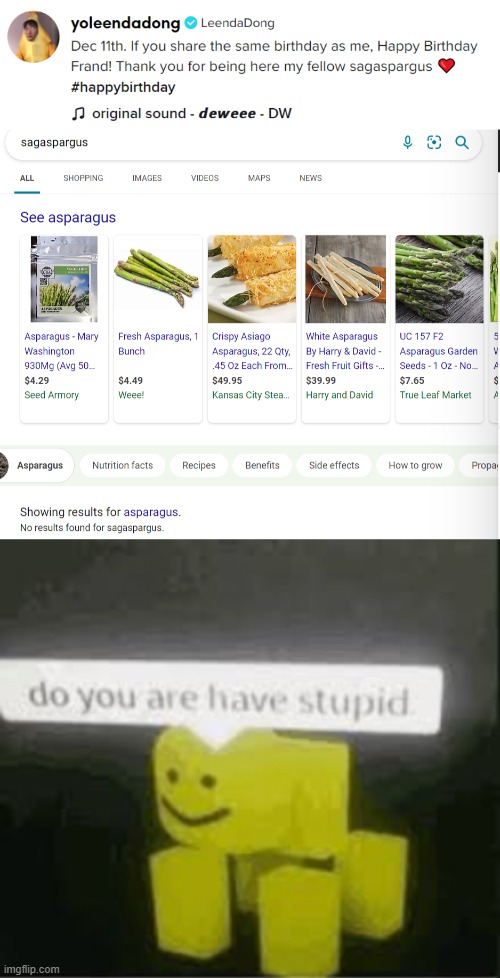 Asparagus | image tagged in do you are have stupid,asparagus,happy birthday,sagittarius,luna_the_dragon,um okay | made w/ Imgflip meme maker