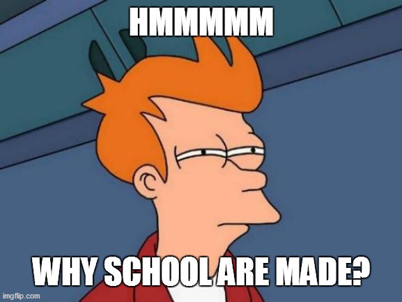 Futurama Fry | HMMMMM; WHY SCHOOL ARE MADE? | image tagged in memes,futurama fry | made w/ Imgflip meme maker
