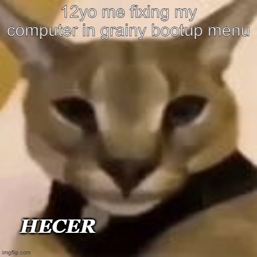 I will soon download a car | 12yo me fixing my computer in grainy bootup menu; HECER | image tagged in hecker | made w/ Imgflip meme maker