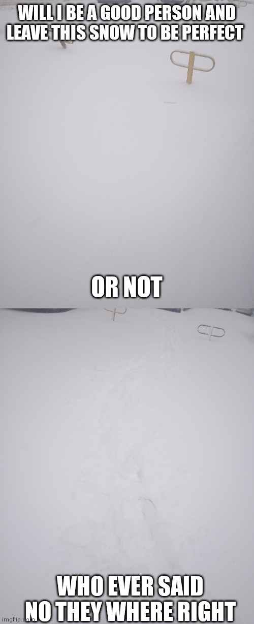 it's been snowing whole day and night | WILL I BE A GOOD PERSON AND LEAVE THIS SNOW TO BE PERFECT; OR NOT; WHO EVER SAID NO THEY WHERE RIGHT | image tagged in gg | made w/ Imgflip meme maker