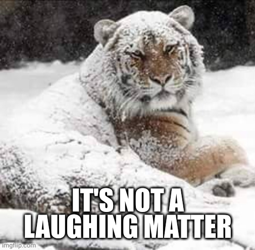 Dandruff  | IT'S NOT A LAUGHING MATTER | image tagged in dandruff | made w/ Imgflip meme maker