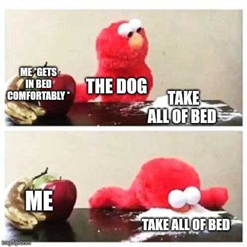 elmo cocaine | ME *GETS IN BED COMFORTABLY *; THE DOG; TAKE ALL OF BED; ME; TAKE ALL OF BED | image tagged in elmo cocaine | made w/ Imgflip meme maker