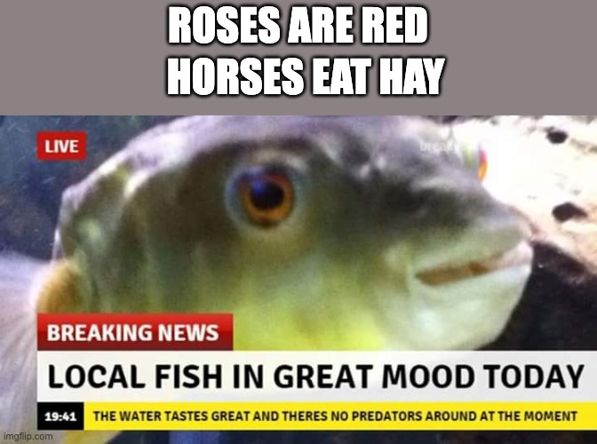 hmm | ROSES ARE RED; HORSES EAT HAY | image tagged in fish,funny,breaking news,news,roses are red,horses | made w/ Imgflip meme maker