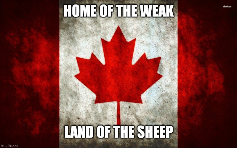 canada flag | HOME OF THE WEAK; LAND OF THE SHEEP | image tagged in canada flag | made w/ Imgflip meme maker