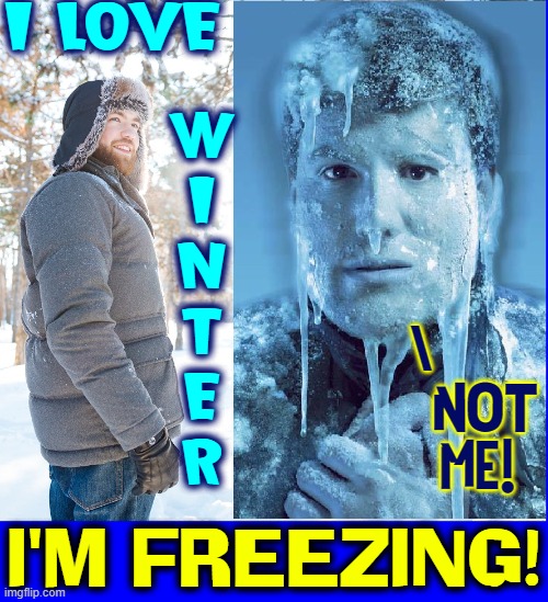 To all you Polar Bears, Penguins and Seals | I LOVE; W
I
N
T
E
R; \; NOT
ME! I'M FREEZING! | image tagged in vince vance,i'm freezing,i'm cold,memes,i hate winter,haha brrrrrrr | made w/ Imgflip meme maker