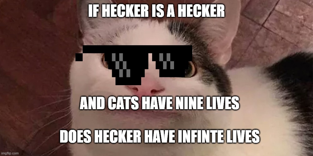 Hecker's lives | IF HECKER IS A HECKER; AND CATS HAVE NINE LIVES; DOES HECKER HAVE INFINTE LIVES | image tagged in beluga | made w/ Imgflip meme maker