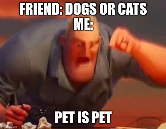 Mr incredible mad | FRIEND: DOGS OR CATS
ME:; PET IS PET | image tagged in mr incredible mad | made w/ Imgflip meme maker