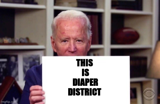 Joe Biden sign | THIS 
IS
DIAPER
DISTRICT | image tagged in joe biden sign | made w/ Imgflip meme maker
