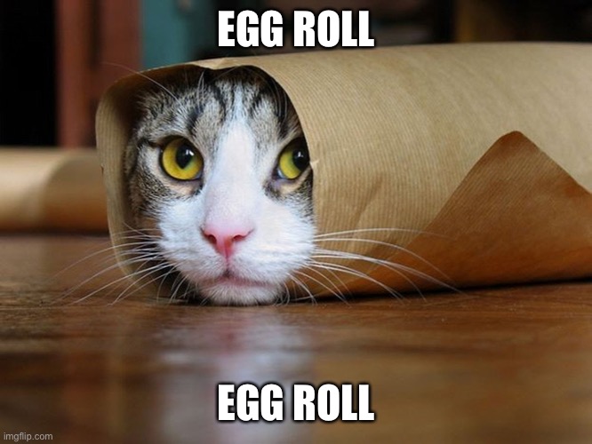 Egg roll | EGG ROLL; EGG ROLL | image tagged in purrito | made w/ Imgflip meme maker