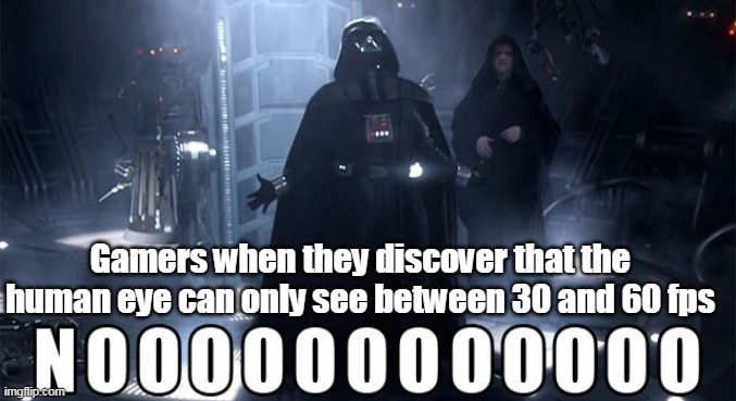 Darth Vader Noooo | Gamers when they discover that the human eye can only see between 30 and 60 fps | image tagged in darth vader noooo | made w/ Imgflip meme maker