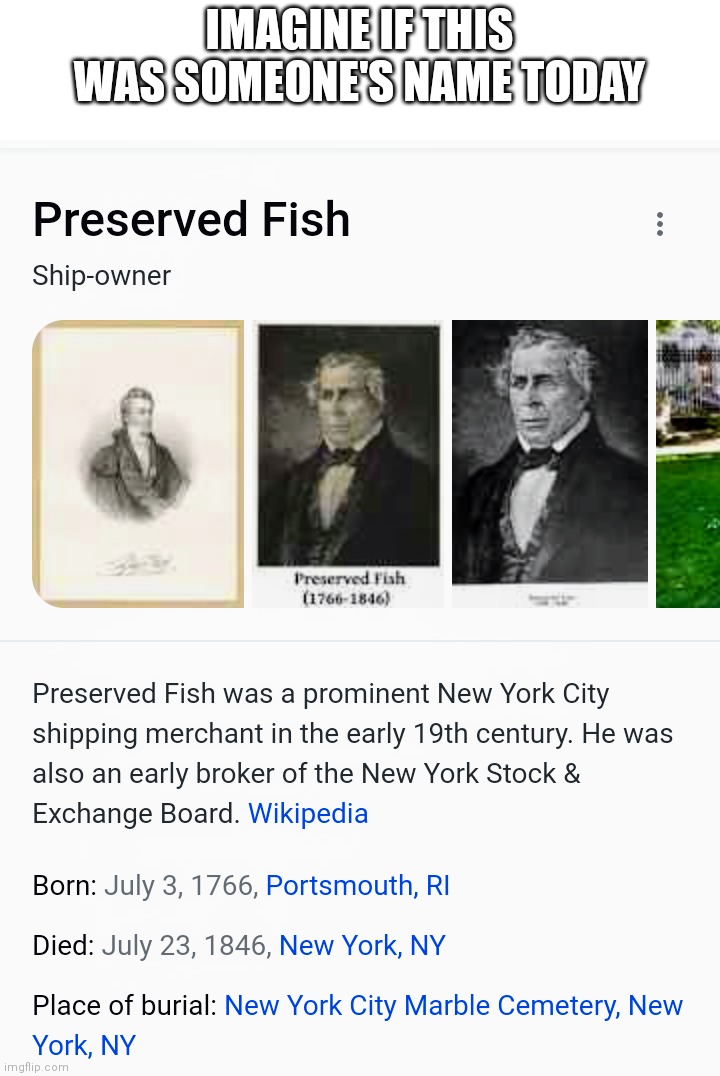 Preserved Fish | IMAGINE IF THIS WAS SOMEONE'S NAME TODAY | image tagged in fish,preserve,name | made w/ Imgflip meme maker