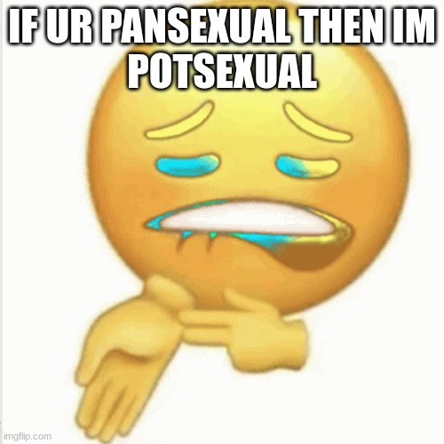 EX D | IF UR PANSEXUAL THEN IM
POTSEXUAL | image tagged in potsexual | made w/ Imgflip meme maker