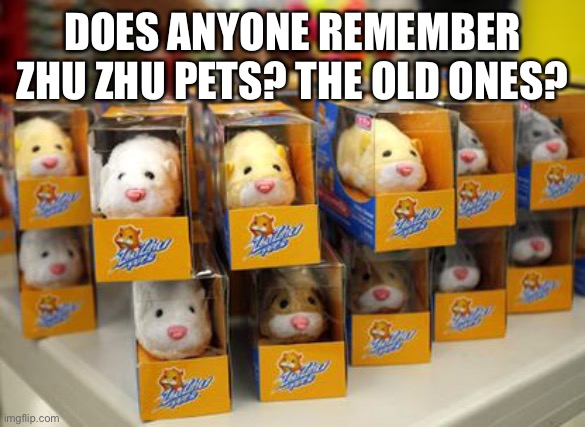 I used to love these things. | DOES ANYONE REMEMBER ZHU ZHU PETS? THE OLD ONES? | image tagged in hamster,memes,remember | made w/ Imgflip meme maker