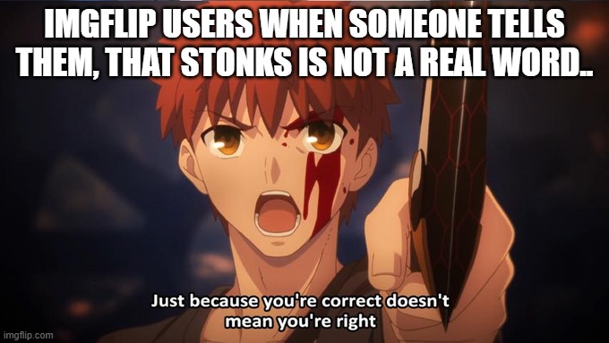 Very correct. | IMGFLIP USERS WHEN SOMEONE TELLS THEM, THAT STONKS IS NOT A REAL WORD.. | image tagged in just because your correct doesn't mean your right | made w/ Imgflip meme maker
