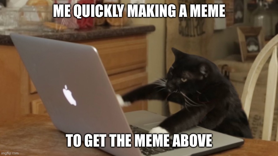When you browse by new to get the pretty cringe meme | ME QUICKLY MAKING A MEME; TO GET THE MEME ABOVE | image tagged in furiously typing cat,cringe,meme,so true memes | made w/ Imgflip meme maker