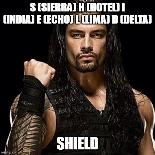 *old roman reigns theme song* | S (SIERRA) H (HOTEL) I (INDIA) E (ECHO) L (LIMA) D (DELTA); SHIELD | image tagged in roman reigns | made w/ Imgflip meme maker