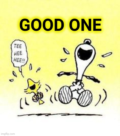 Snoopy and Woodstock laughing | GOOD ONE | image tagged in snoopy and woodstock laughing | made w/ Imgflip meme maker