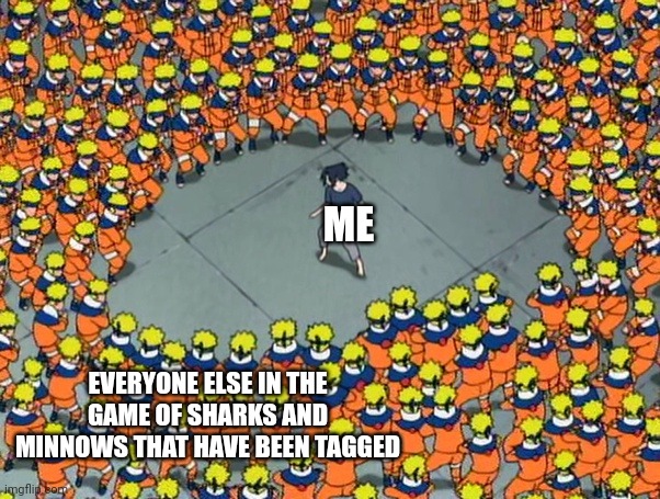 Fax tho.happens to me a lot lol | ME; EVERYONE ELSE IN THE GAME OF SHARKS AND MINNOWS THAT HAVE BEEN TAGGED | image tagged in naruto clone jutsu,lol,funny,naruto,fax | made w/ Imgflip meme maker