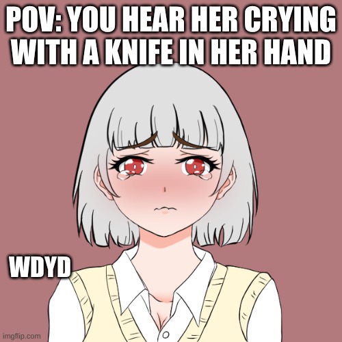 any rp idc | POV: YOU HEAR HER CRYING WITH A KNIFE IN HER HAND; WDYD | made w/ Imgflip meme maker