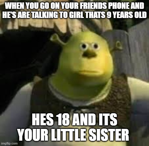 Bruh Moment | WHEN YOU GO ON YOUR FRIENDS PHONE AND HE'S ARE TALKING TO GIRL THATS 9 YEARS OLD; HES 18 AND ITS YOUR LITTLE SISTER | image tagged in funny,true story | made w/ Imgflip meme maker
