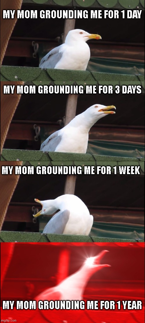 Inhaling Seagull | MY MOM GROUNDING ME FOR 1 DAY; MY MOM GROUNDING ME FOR 3 DAYS; MY MOM GROUNDING ME FOR 1 WEEK; MY MOM GROUNDING ME FOR 1 YEAR | image tagged in memes,inhaling seagull | made w/ Imgflip meme maker